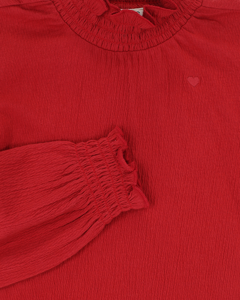 Little longsleeve t-shirt turtle Rood Little longsleeve t-shirt turtle Rood