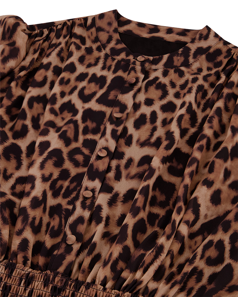 Leopard Dress Bruin 1 Leopard Dress Bruin 1