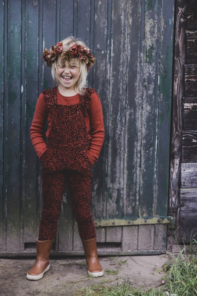 Little Pointel T-Shirt Longsleeve 7428 Bruin KL Little Pointel T-Shirt Longsleeve 7428 Bruin KL