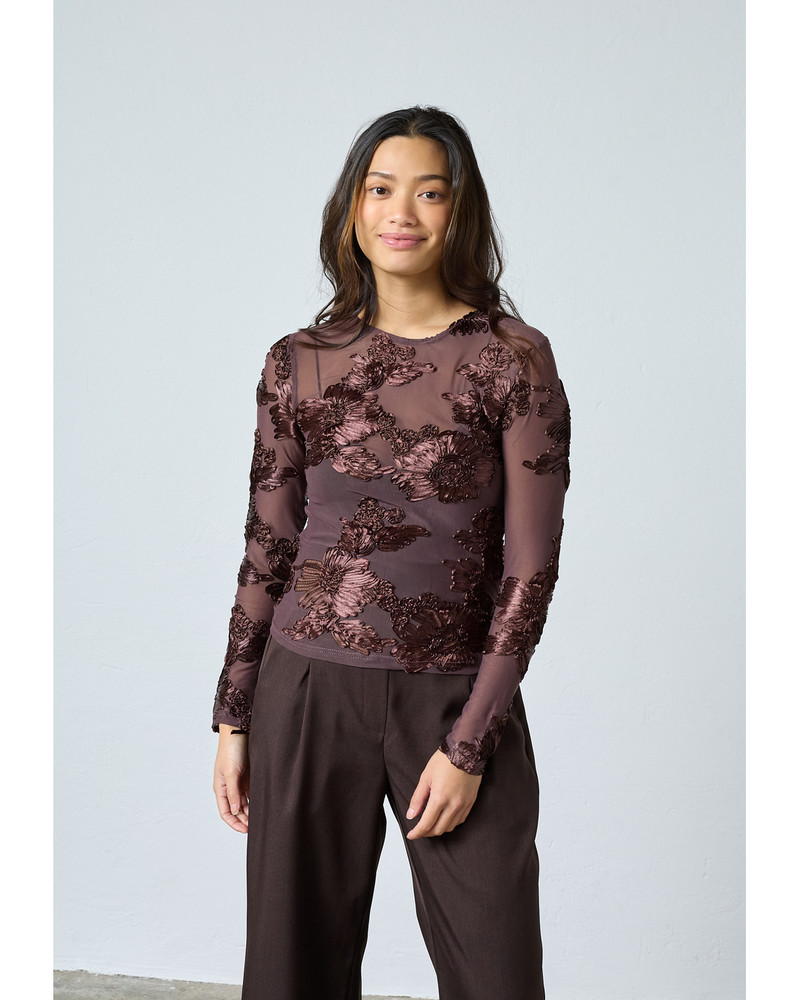 SIS-LS Top Bruin 1 SIS-LS Top Bruin 1