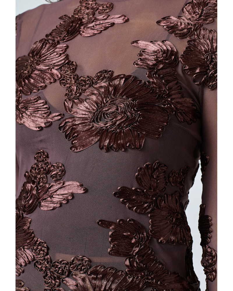 SIS-LS Top Bruin 1 SIS-LS Top Bruin 1