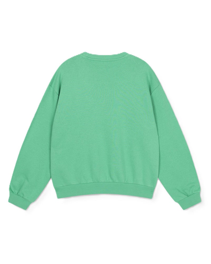 ladies knitted embroidered A sweater Groen ladies knitted embroidered A sweater Groen