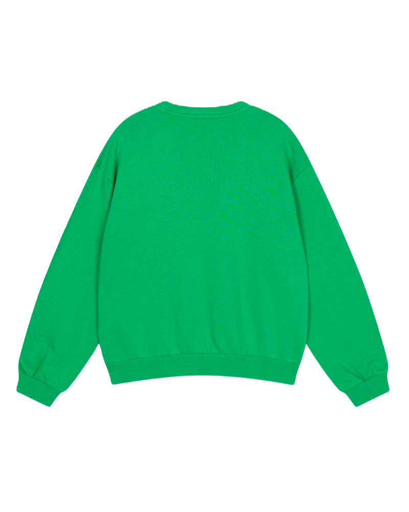 ladies knitted embroidered A sweater Groen ladies knitted embroidered A sweater Groen
