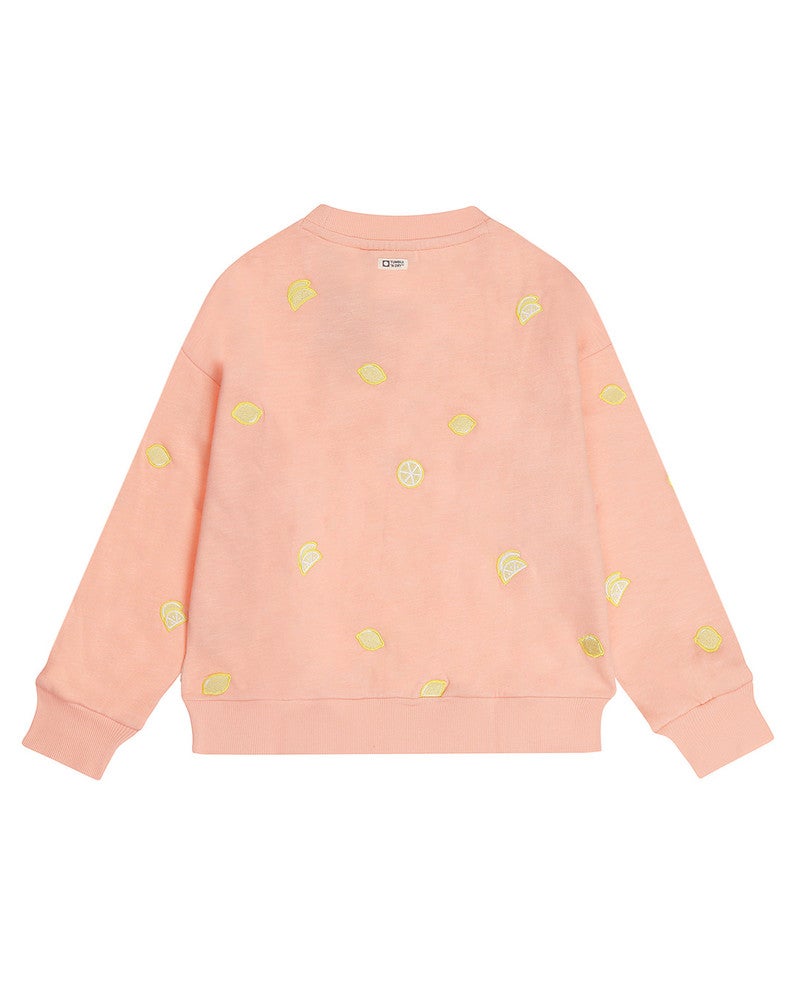 Limoni Sweater Koraal Limoni Sweater Koraal