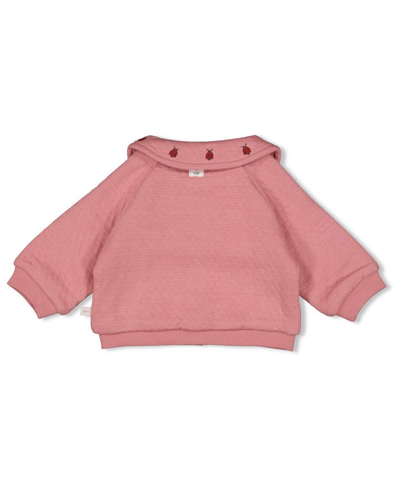 Jasje - Ladybug Roze Jasje - Ladybug Roze