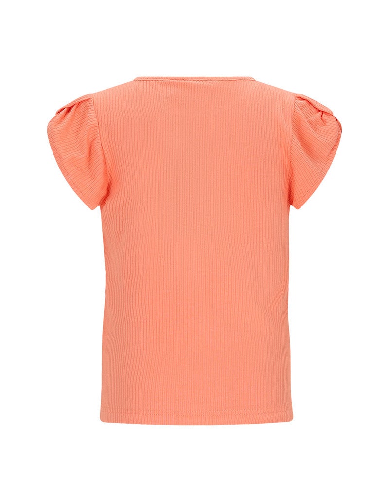 Kapri RibJersey with fancy sleeve Roze Kapri RibJersey with fancy sleeve Roze