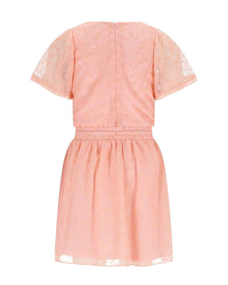 Mireal Embroidered Mesh Dress Roze Mireal Embroidered Mesh Dress Roze