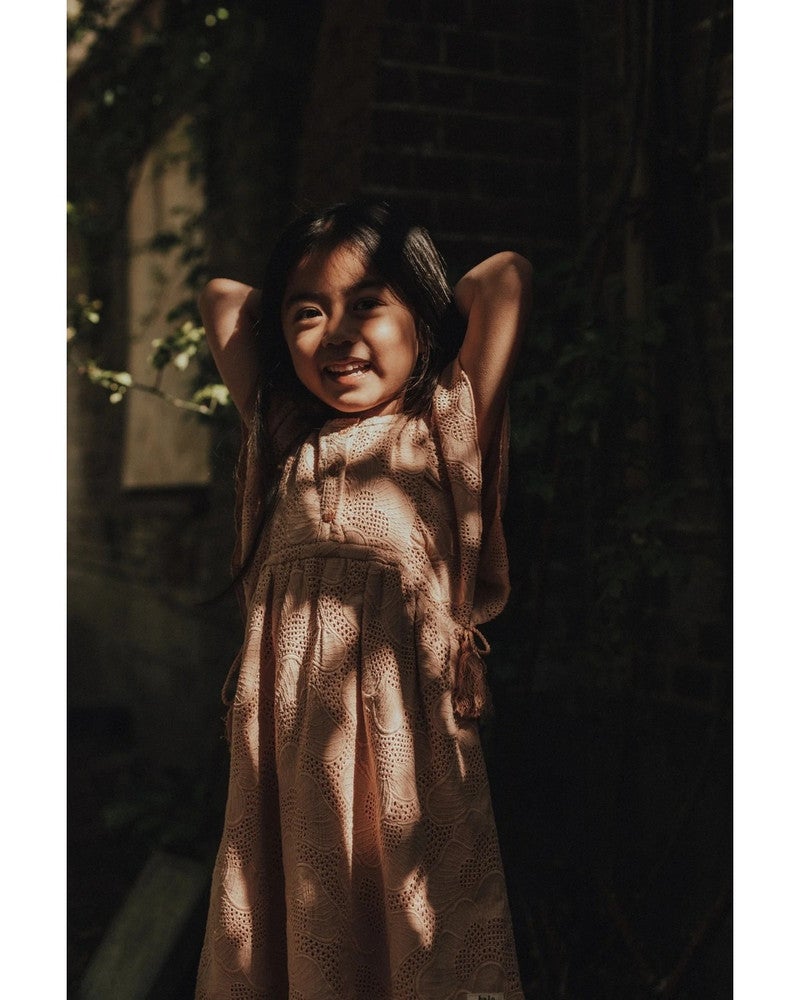 Mave Lace Dress Roze Mave Lace Dress Roze