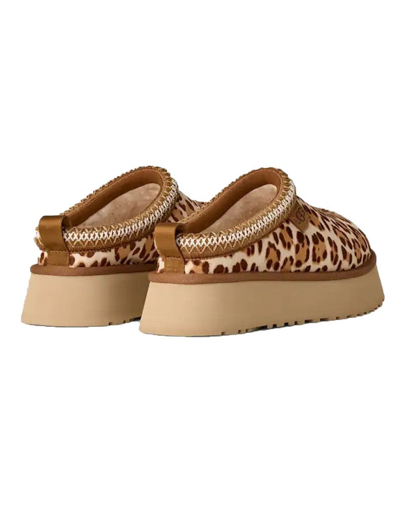 W Tazz Plains Bruin 1 W Tazz Plains Bruin 1