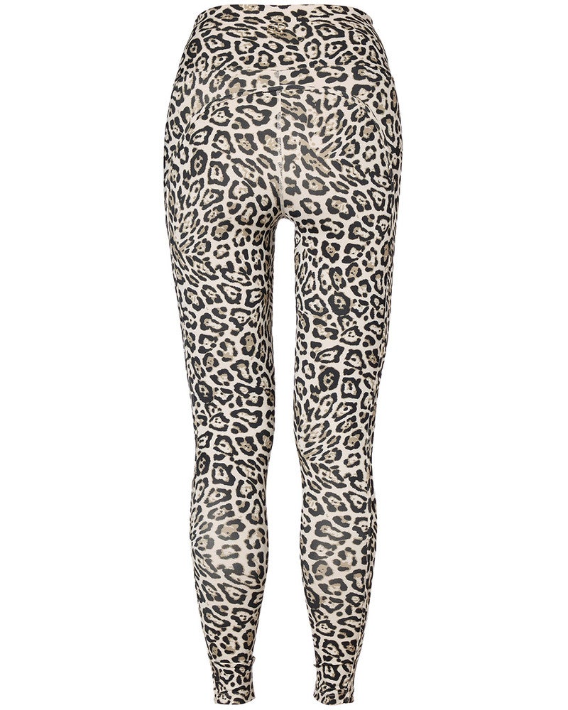 ARTEMIS tight Bruin 1 ARTEMIS tight Bruin 1