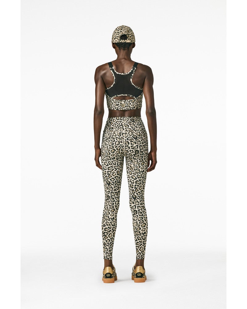 ARTEMIS tight Bruin 1 ARTEMIS tight Bruin 1