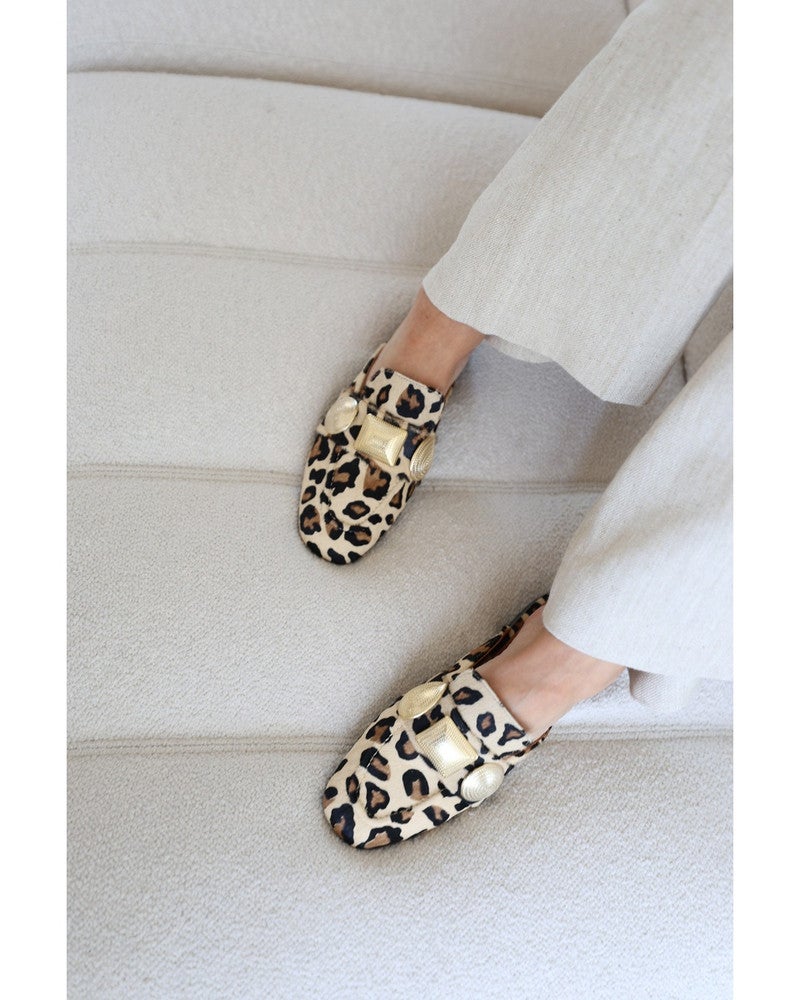 G-Lara-8 Bruin 1 G-Lara-8 Bruin 1