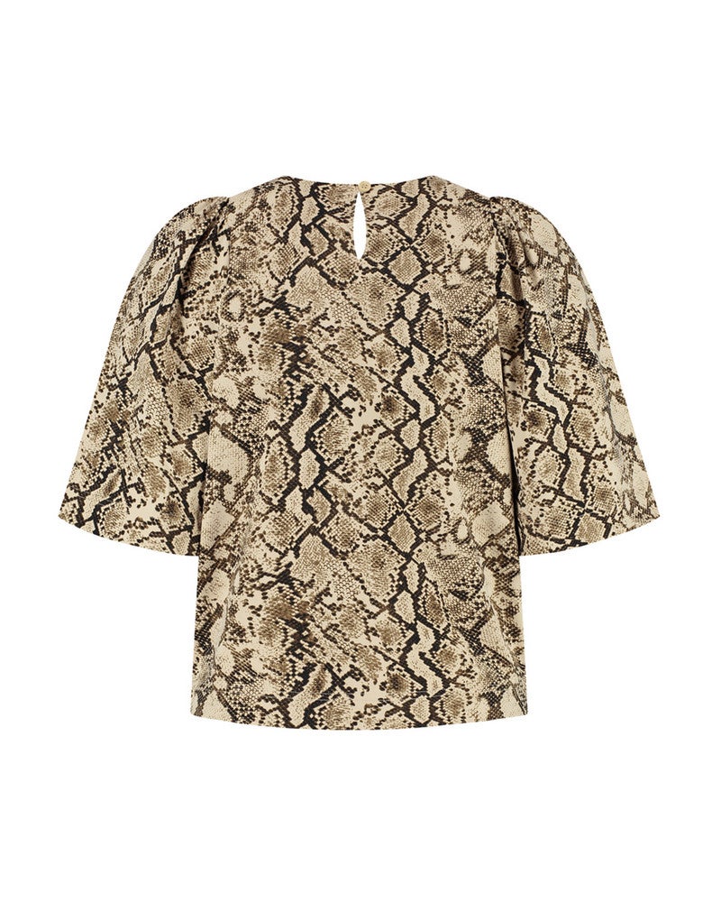 Aston Bruin 1 Aston Bruin 1