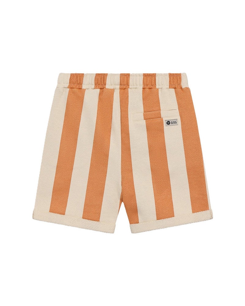 Shorts Big Stripe Bruin 1 Shorts Big Stripe Bruin 1