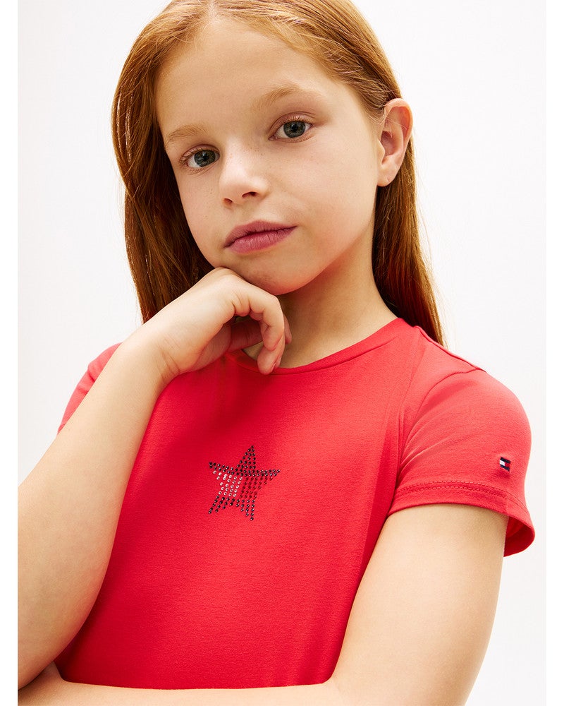 STAR FLAG TEE SS,T-SHIRT Rood STAR FLAG TEE SS,T-SHIRT Rood