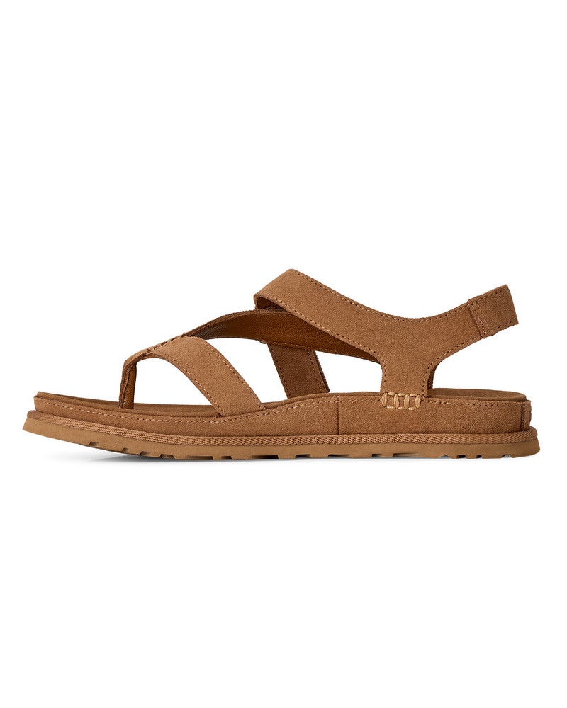 W GOLDENGAZE TOE POST Bruin 1 W GOLDENGAZE TOE POST Bruin 1