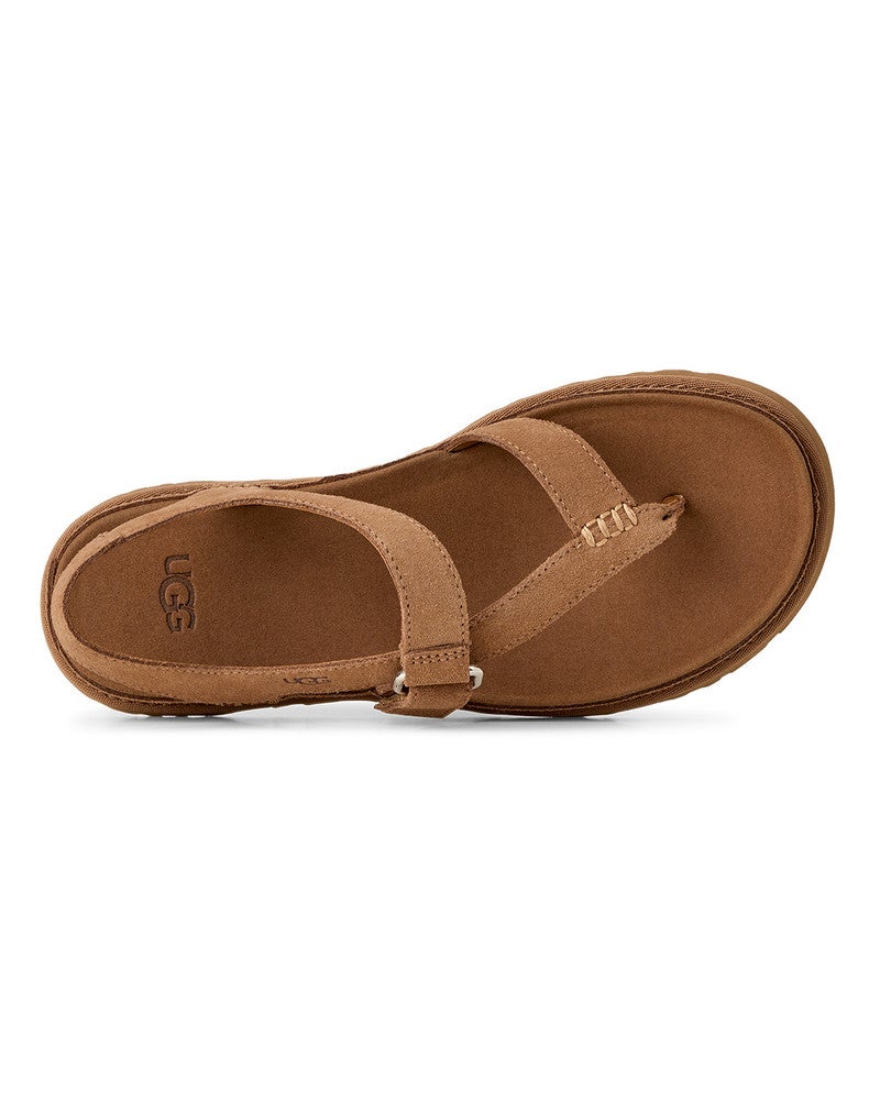 W GOLDENGAZE TOE POST Bruin 1 W GOLDENGAZE TOE POST Bruin 1