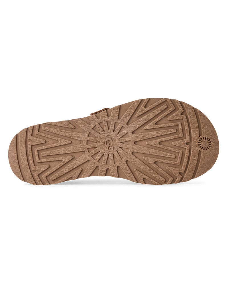 W GOLDENGAZE TOE POST Bruin 1 W GOLDENGAZE TOE POST Bruin 1