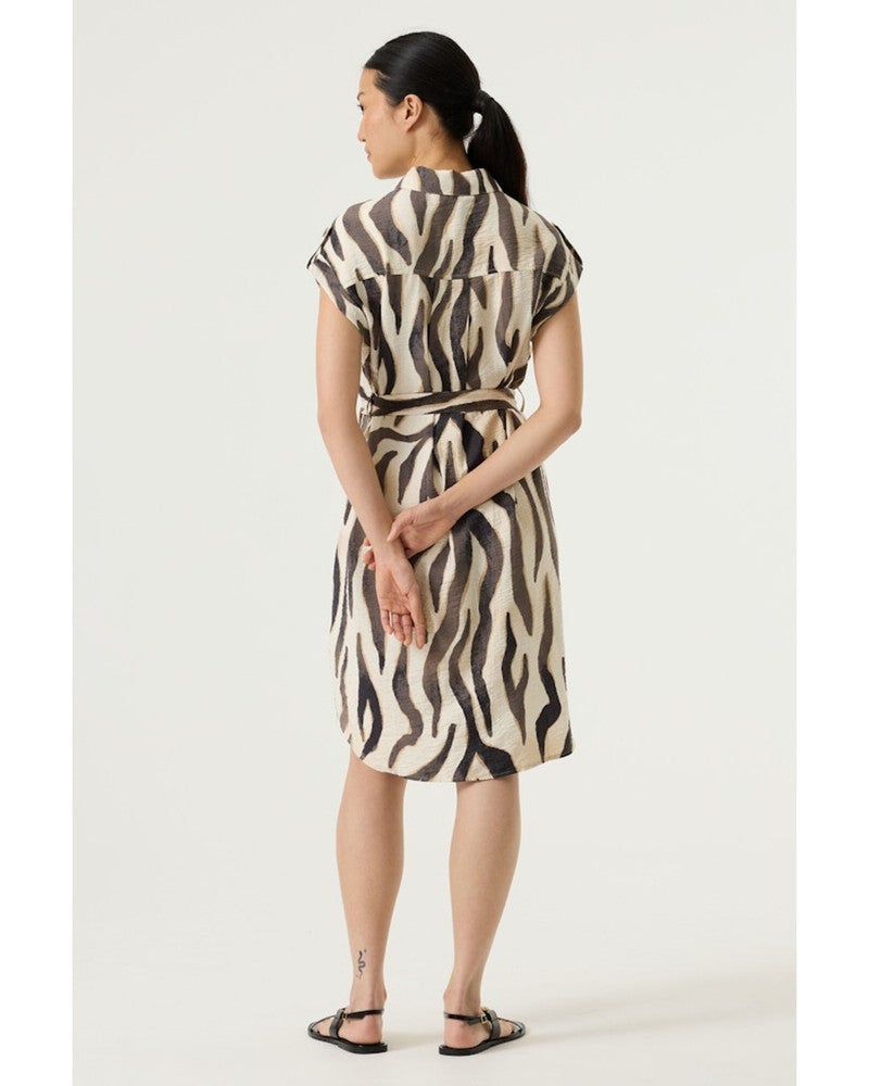 Ladies Dress Bruin 1 Ladies Dress Bruin 1