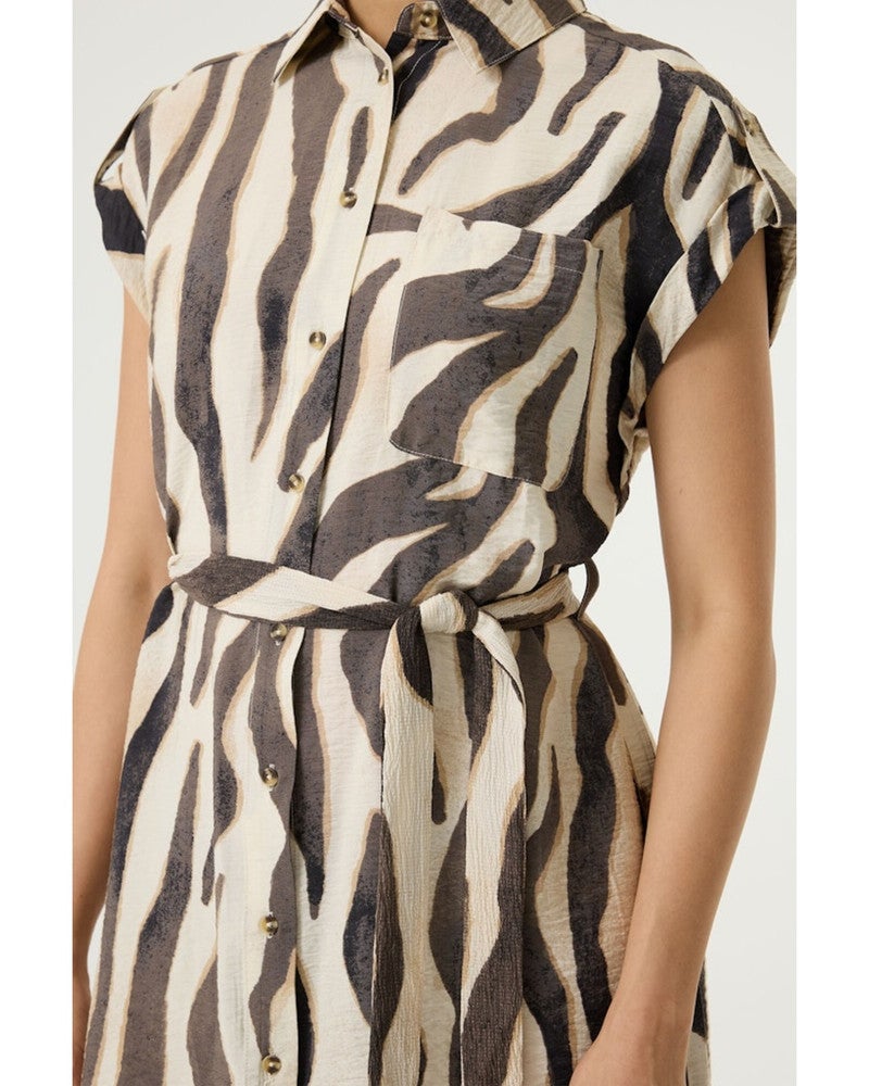Ladies Dress Bruin 1 Ladies Dress Bruin 1