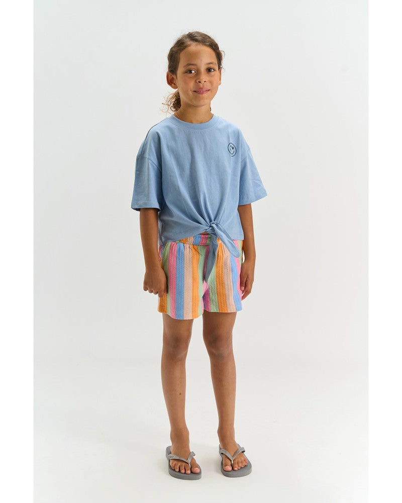 Trace Shorts Striped Multi Trace Shorts Striped Multi
