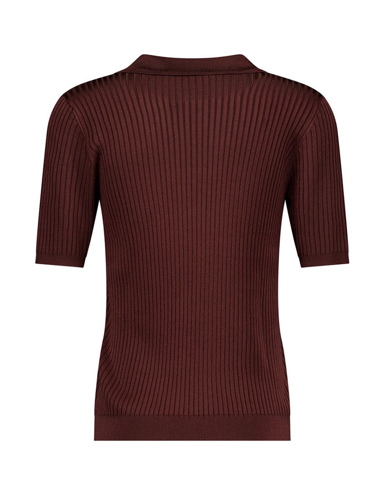 Fina shiny polo Bruin 2 Fina shiny polo Bruin 2