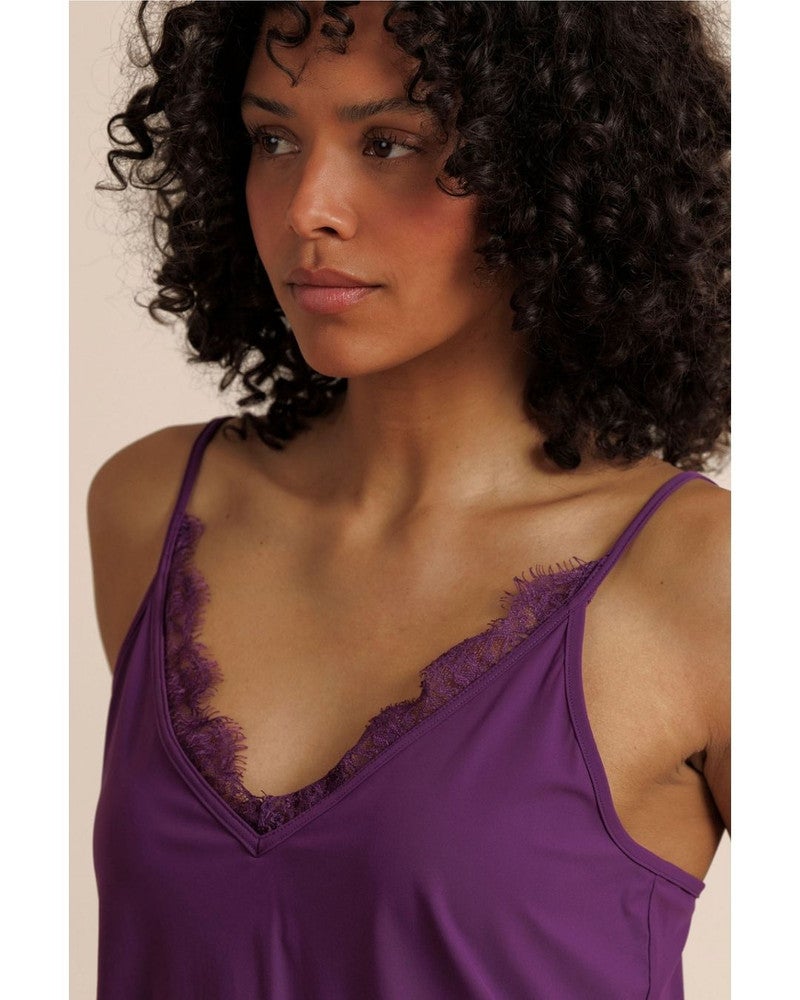 Mitzie lace top Paars Mitzie lace top Paars