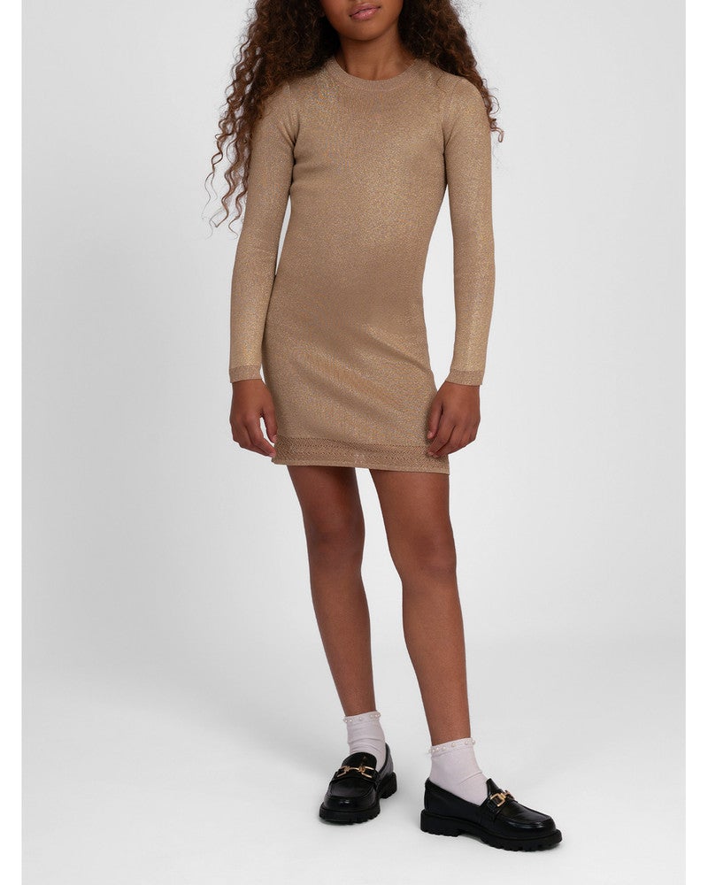Siv Dress Bruin 1 Siv Dress Bruin 1