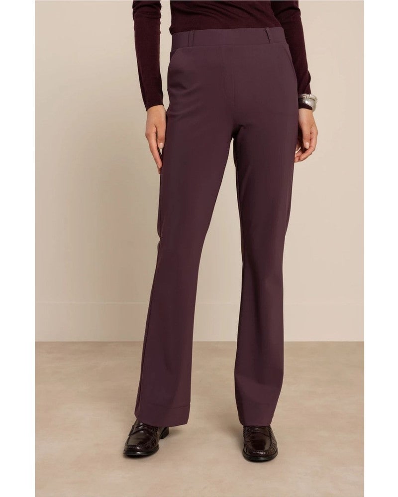 Flair bonded trousers 14201 Paars Flair bonded trousers 14201 Paars
