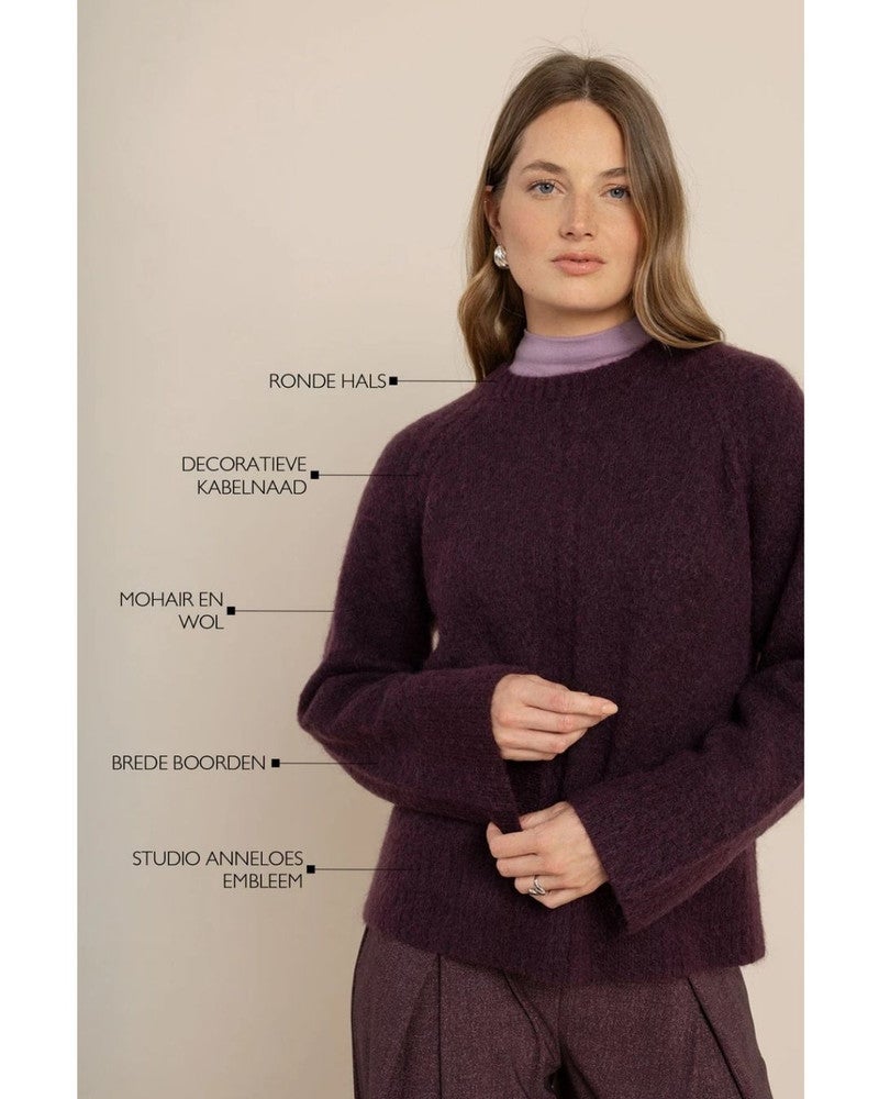 Sammy pullover Paars Sammy pullover Paars