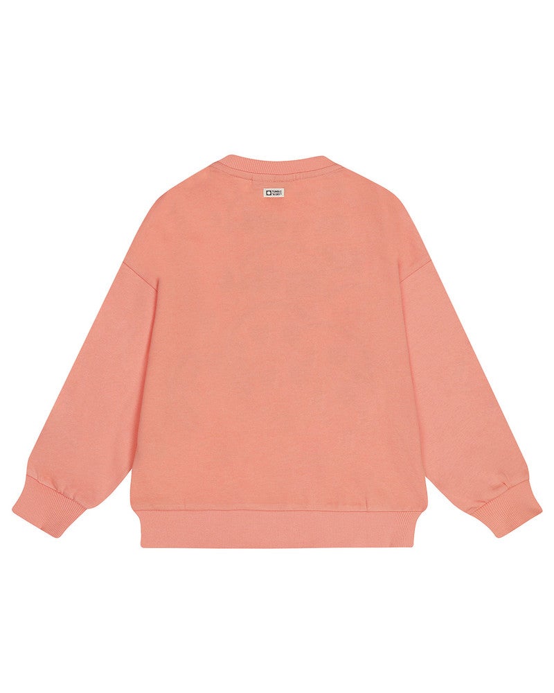 Elianne Sweater Smiley Roze Elianne Sweater Smiley Roze