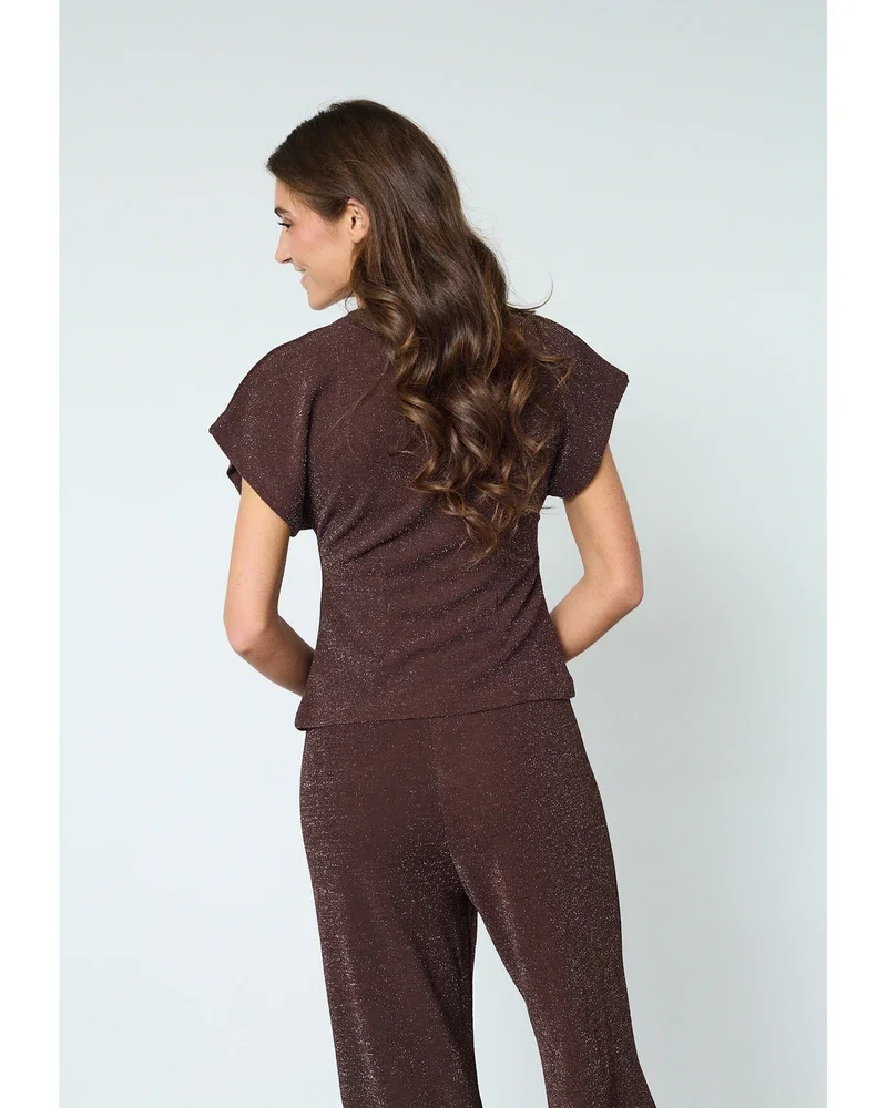 GEVELA-VE3 Vest Bruin 1 GEVELA-VE3 Vest Bruin 1