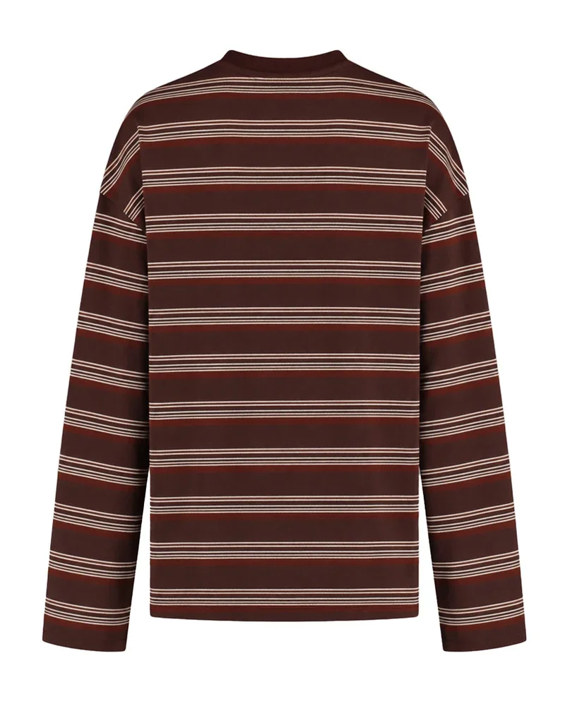TOMMY-LS Bruin 1 TOMMY-LS Bruin 1
