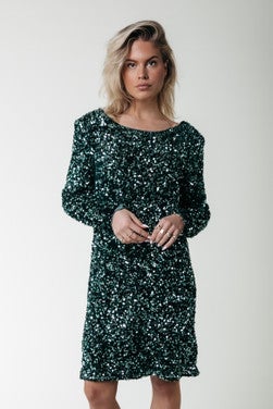 Tina Sequins Straight Dress LS Groen KL