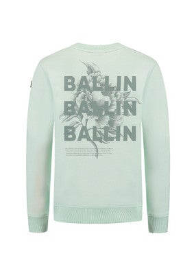 Regular fit Crewneck LS Sweaters Groen