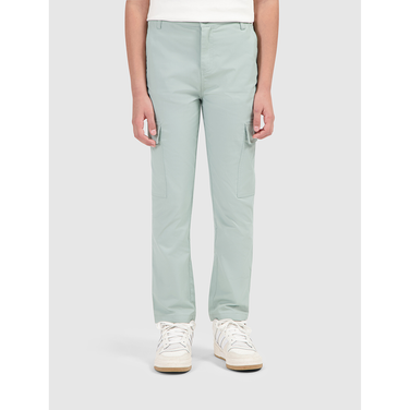 Regular fit Cargo Pants Woven Groen