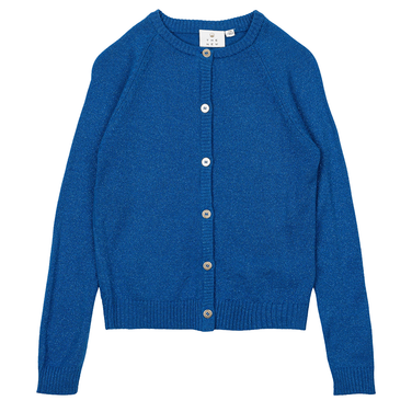 Eve Glitter Cardigan Blauw