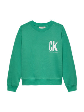 SUMMER GRAPHICS SWEATER Groen