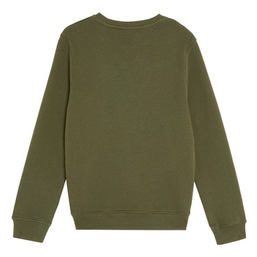 Crew Neck Sweatshirt FW25 Groen