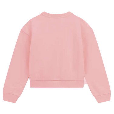 LS ACTIVE TOP WIDE LOGO ARM Roze