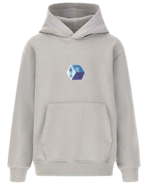 Hooded Sweatshirt Cube Backprint Grijs