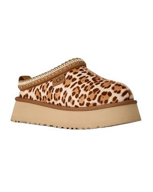 W Tazz Plains Bruin 1