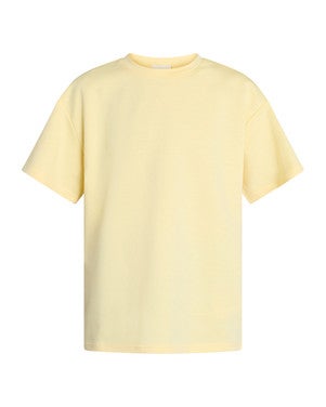VEDA-SS Top Geel