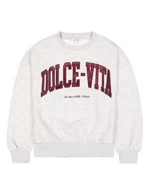 V260265 Ladies Sweater Grijs
