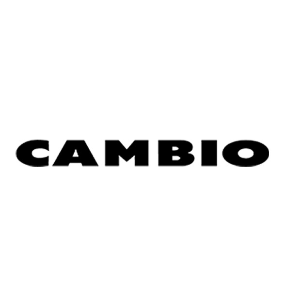 Cambio